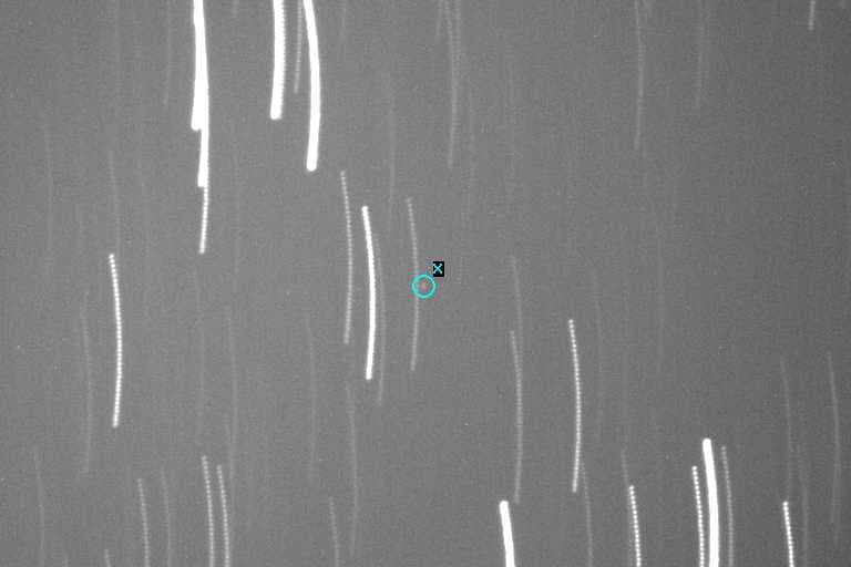 Minor Planets